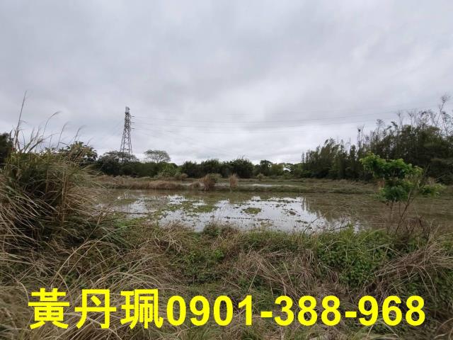 中壢農地-6