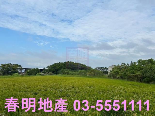 新埔義民路活巷農地