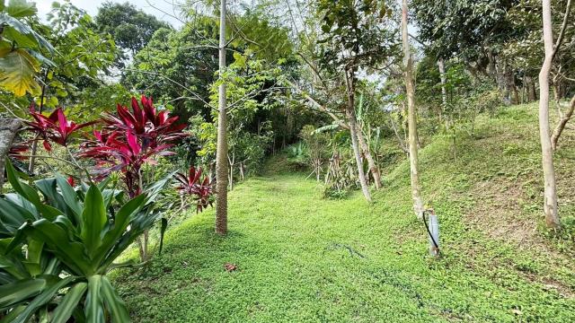 新竹關西農地-14