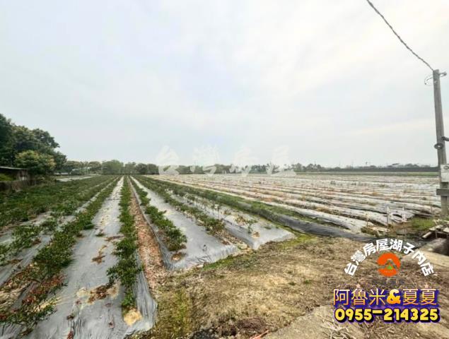 台南白河農地-5