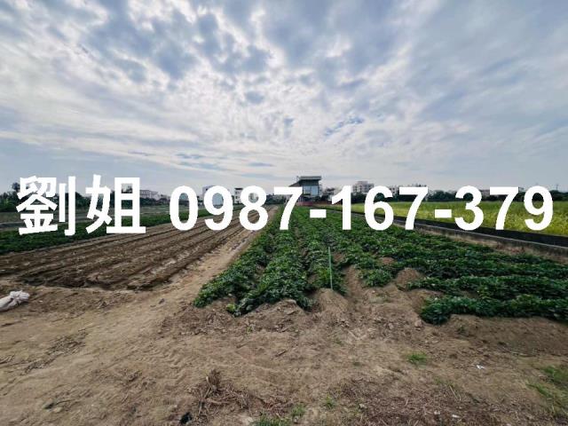 新市農地-1