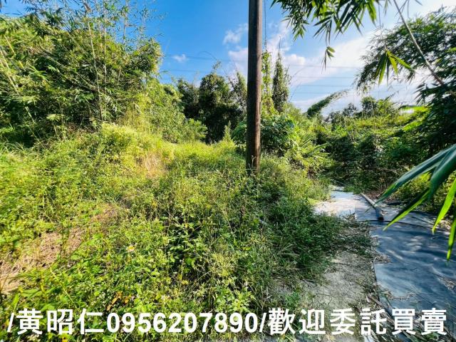 台南農地-5