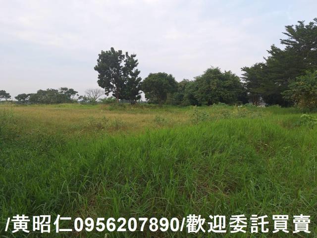 台南新化近虎頭埤方正農地