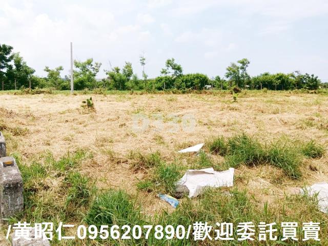 台南安南農地-2