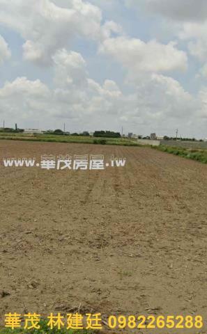 鹽水農地法拍-1