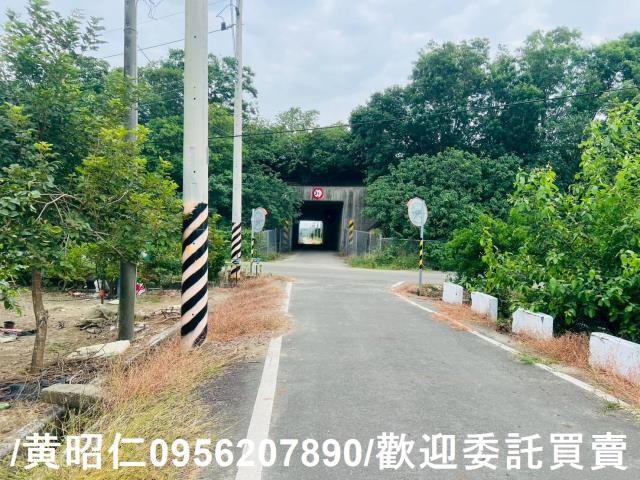 台南善化農地-12