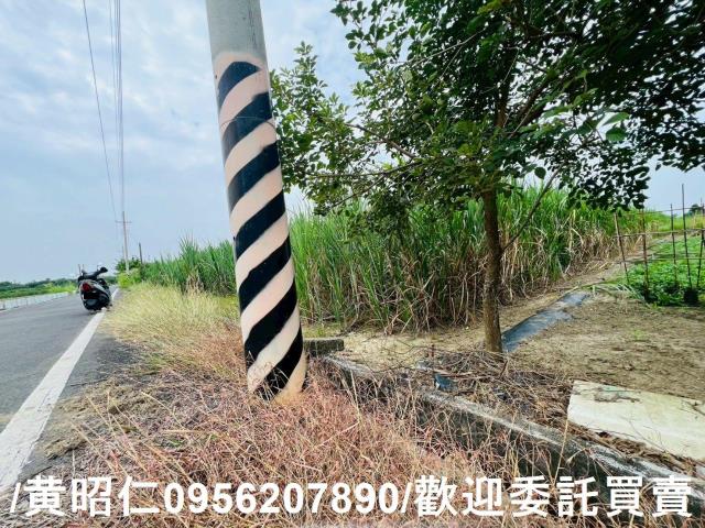 台南善化農地-7