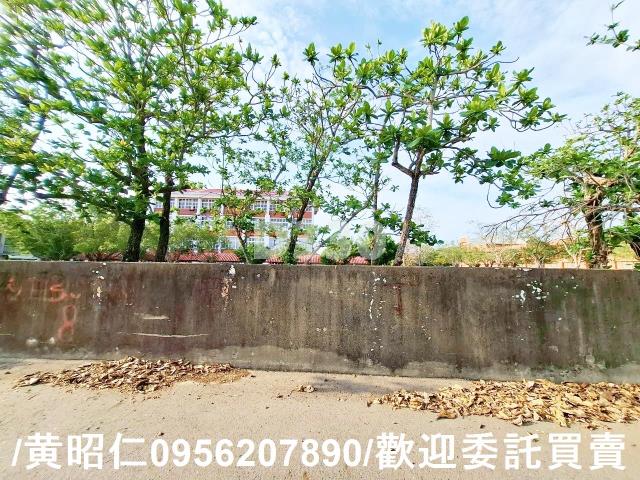 台南七股農地-11