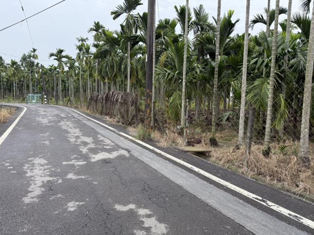 屏東內埔農地-2