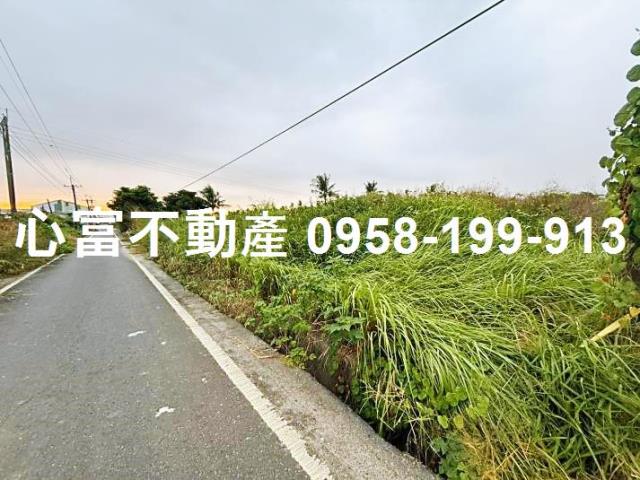 高雄阿蓮農地-1