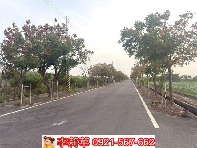 七股竹子港美農地