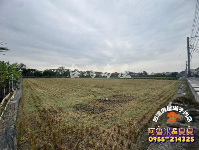 世賢路旁三面路都計農地