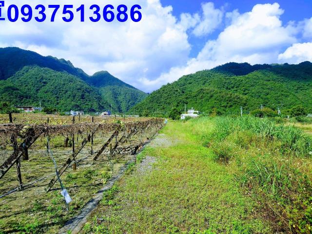 宜蘭土地宜蘭農地員山農地壯圍農地