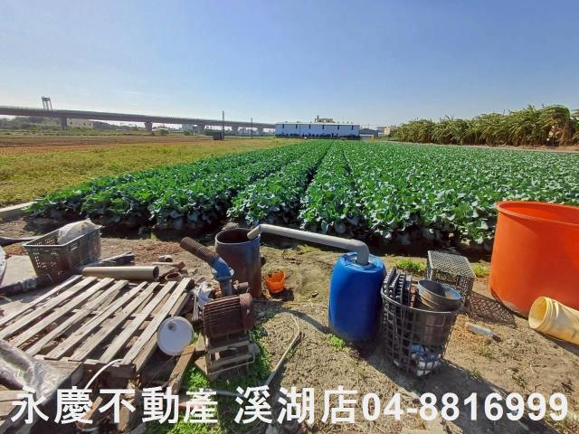 彰化埔鹽農地-9