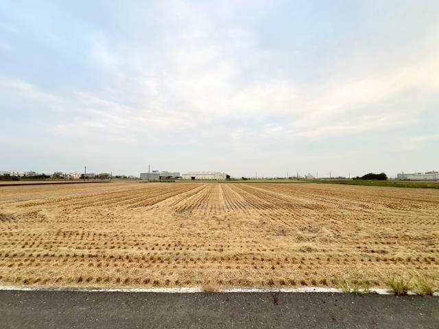 嘉義溪口農地-3