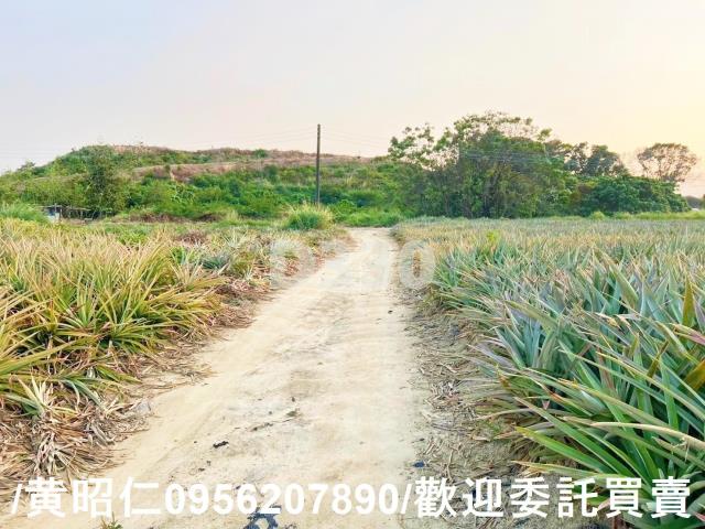 關廟農地-4