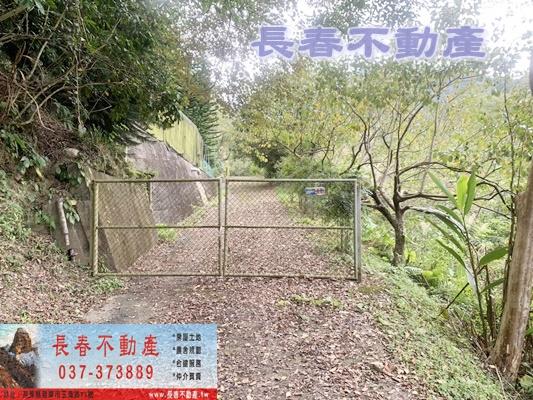 苗栗林地-11