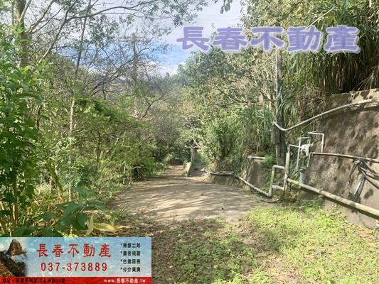 苗栗林地-0