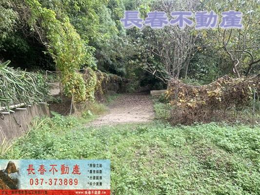 苗栗林地-2