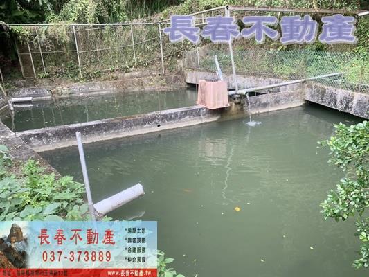 苗栗林地-3