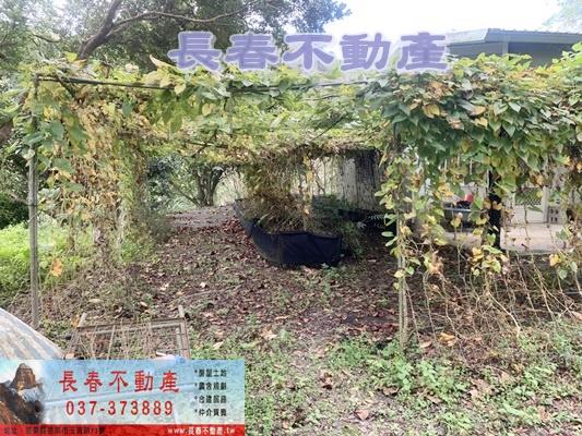 苗栗林地-5