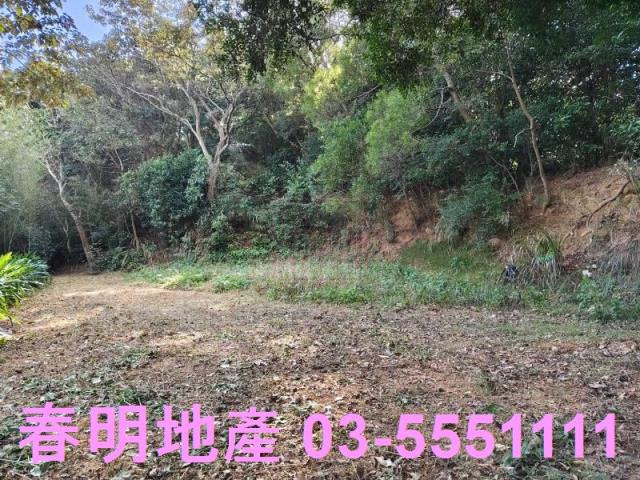 新竹縣湖口鄉夏季三角景觀休閒地附水電出售