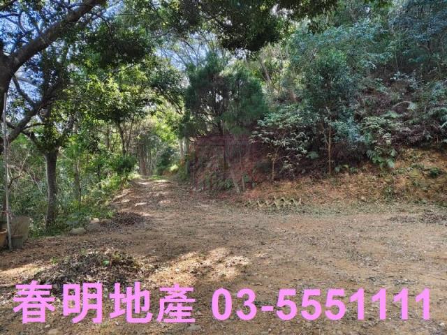 新竹關西農地-2