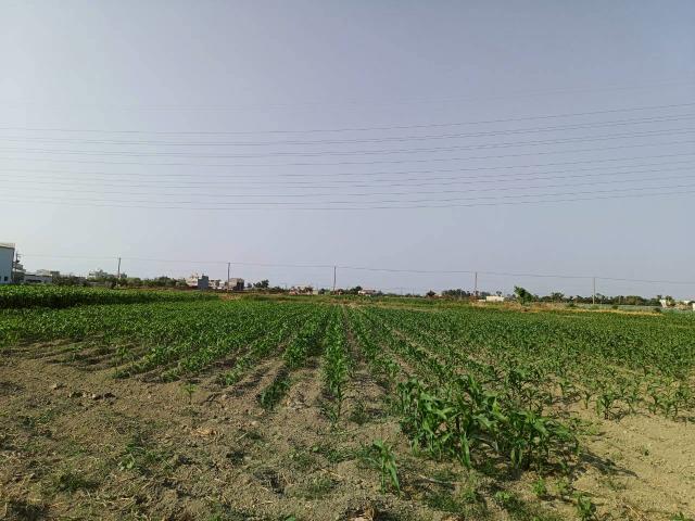 台南學甲農地-6