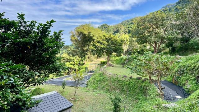 新竹橫山農地-8