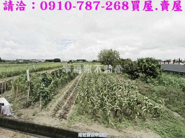 台南西港農地-11