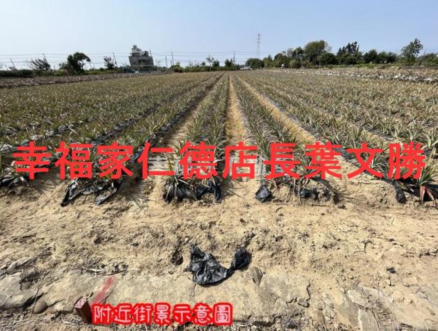 台南山上農地-14