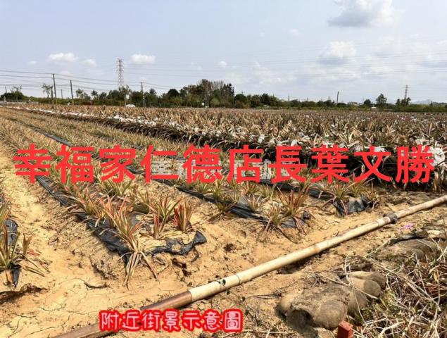 台南山上農地-7