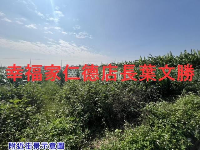 台南佳里農地-8