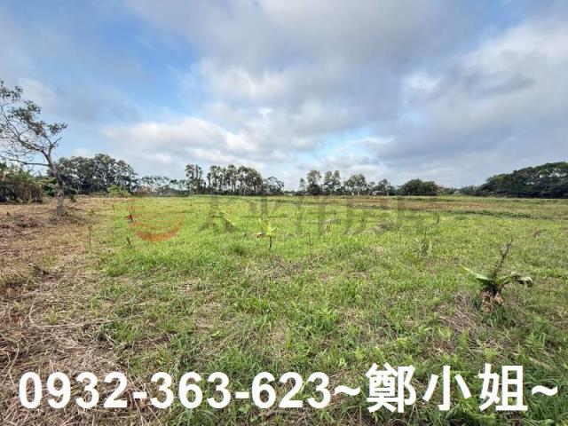 新屋農地-5