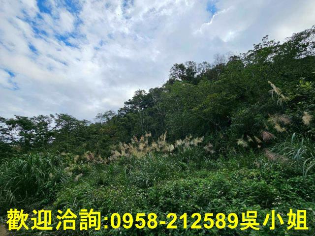 峨眉山坡地-10