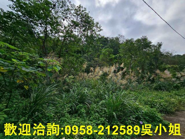 峨眉山坡地-3