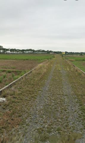 後壁農地拍賣-6