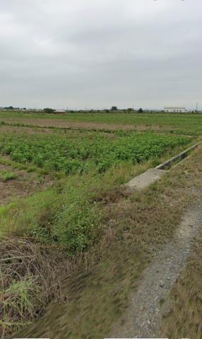 後壁農地拍賣-8