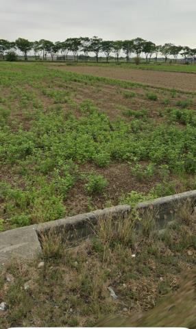 後壁農地拍賣-11