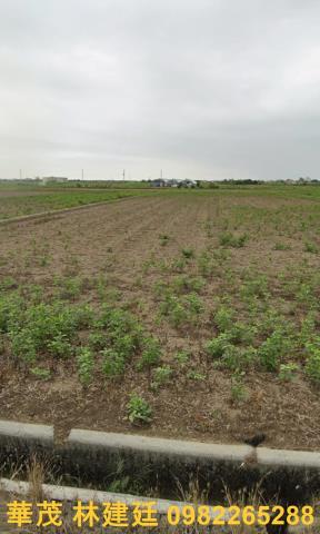 後壁農地拍賣-2