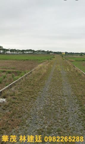 後壁農地拍賣-4
