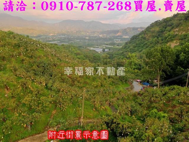 台南玉井農地-7