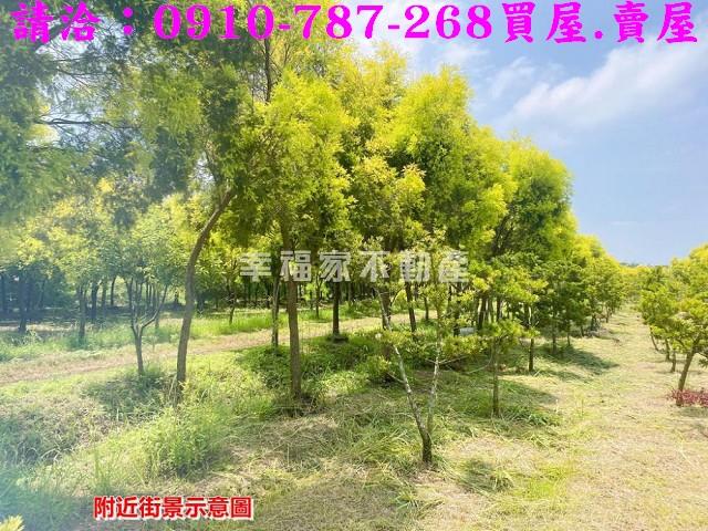 台南六甲農地-11