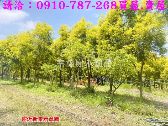 台南六甲農地-13