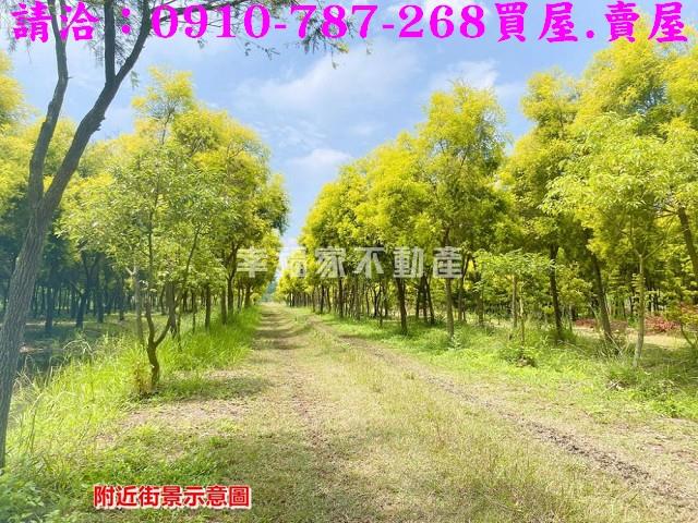 善化東勢寮2分雙臨路一般農