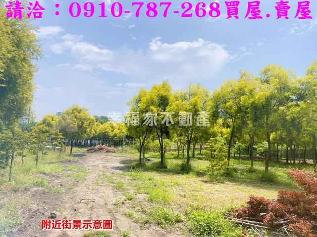 台南六甲農地-5