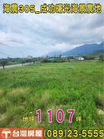 台東農地台東房地產台東土地買賣台東房仲台東仲介縱谷農地