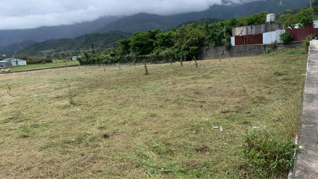 台東農建地台東房地產台東土地買賣台東房仲台東仲介