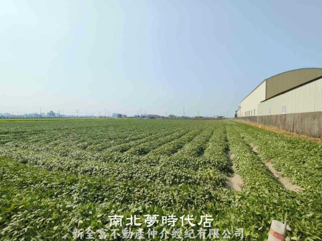新市農地-2
