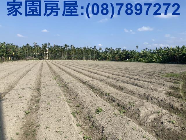 屏東農地-1